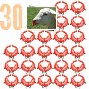 30 sheep noserings