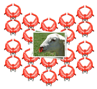 pack of 20 noserings for weaning lambs